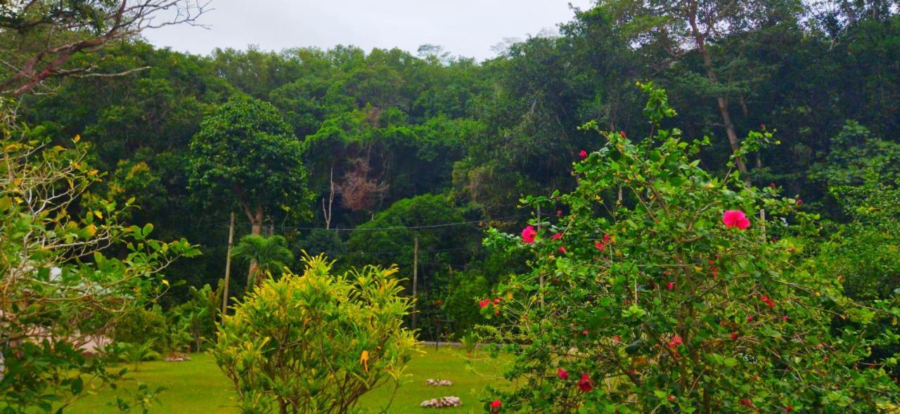 Dan Zoranz Self Catering Guest House La Digue Buitenkant foto